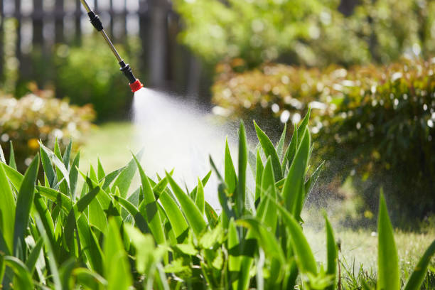 24/7 Emergency Mosquito Control experts in Grandview, OK